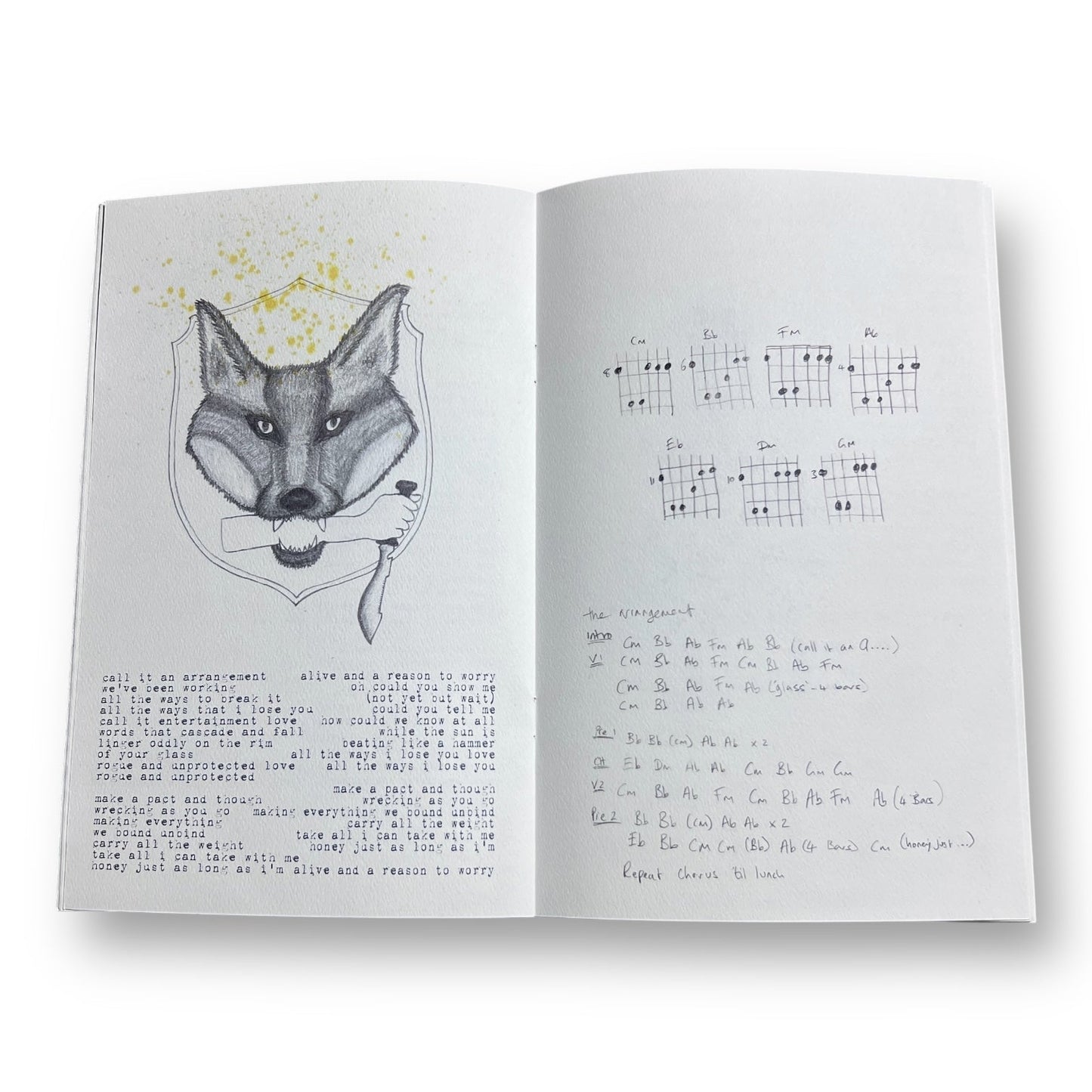 Carina Round Tigermending Songbook with Guitar Tabs