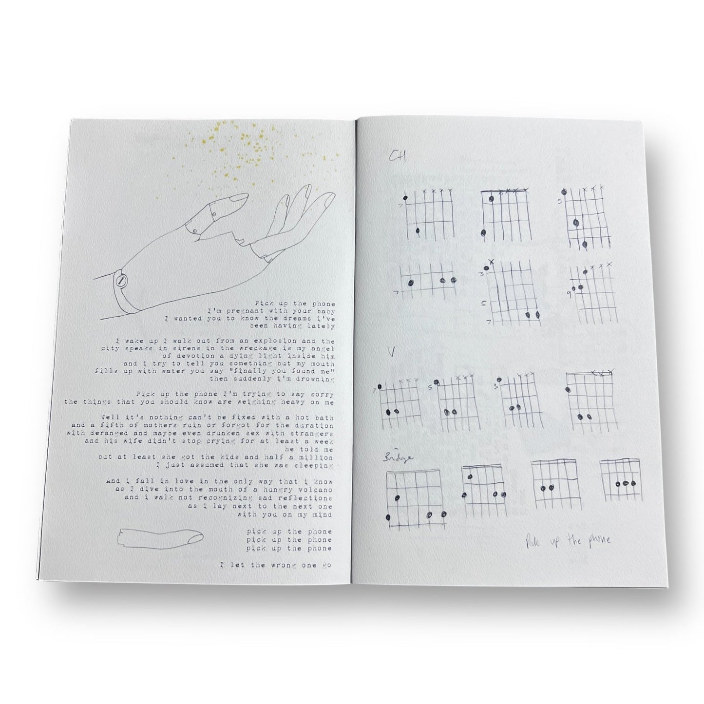 Carina Round Tigermending Songbook with Guitar Tabs