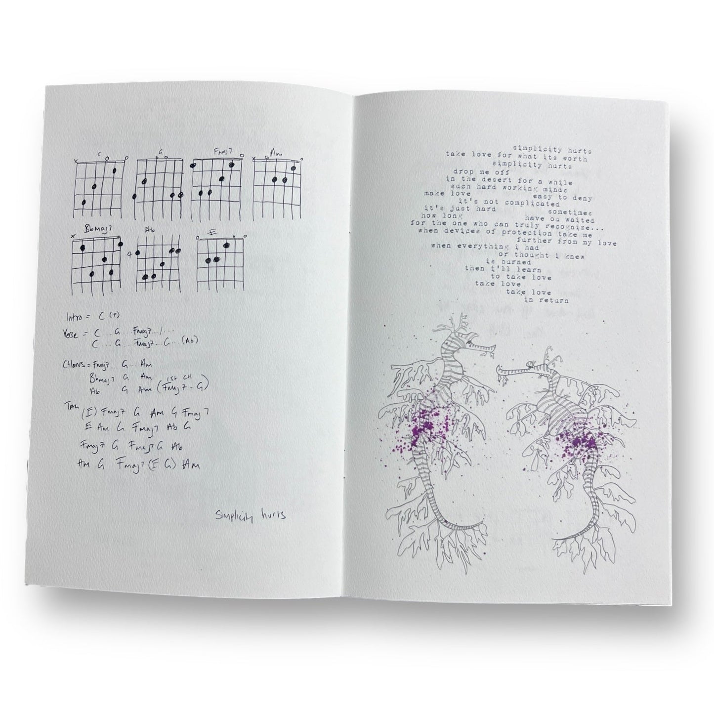 Carina Round Tigermending Songbook with Guitar Tabs
